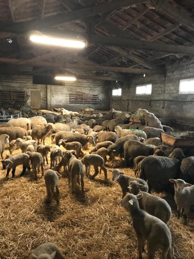 Vila Studio A La Ferme Arles Exteriér fotografie