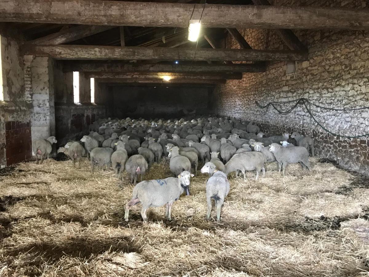 Vila Studio A La Ferme Arles Exteriér fotografie